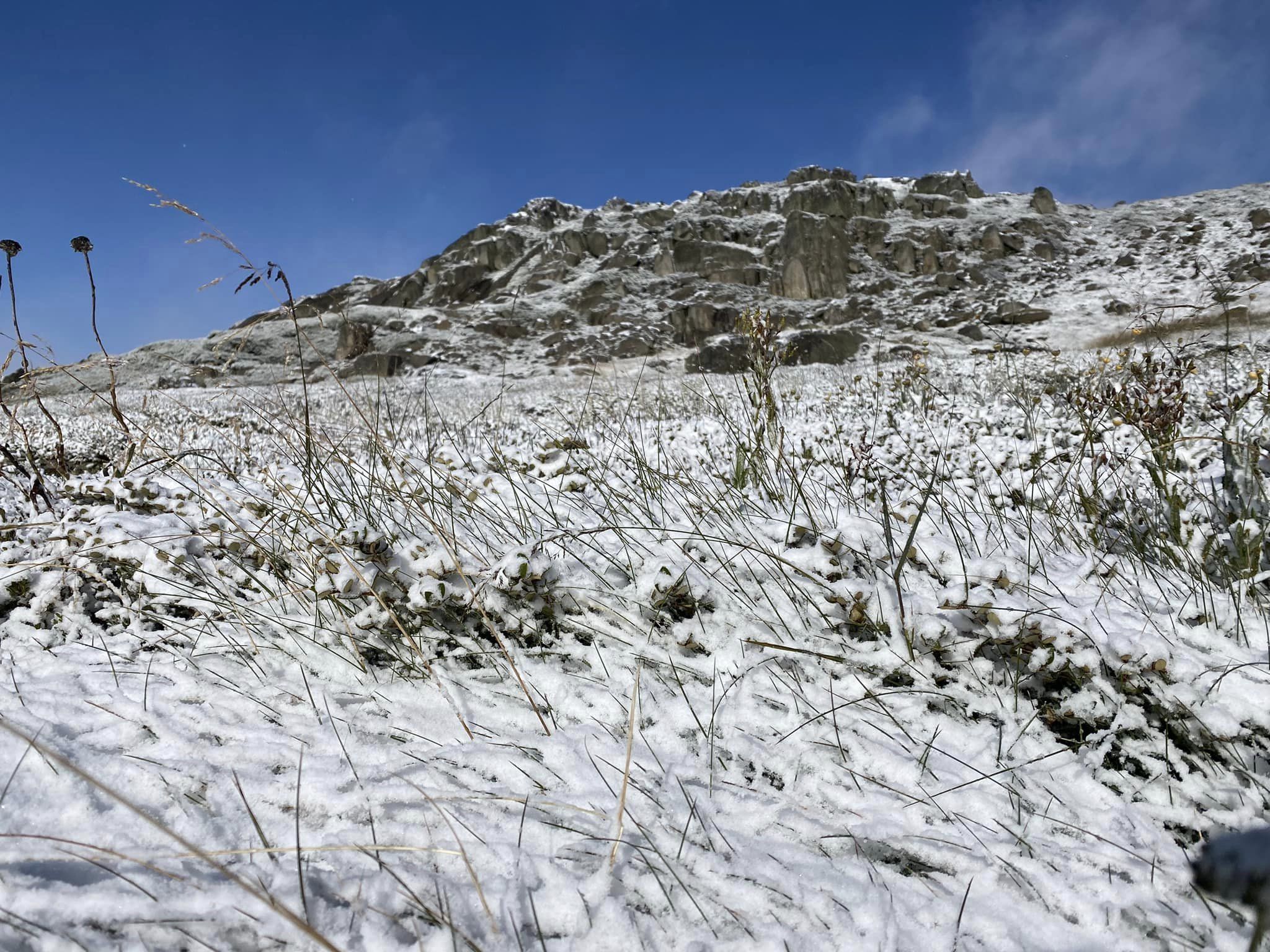 Perisher