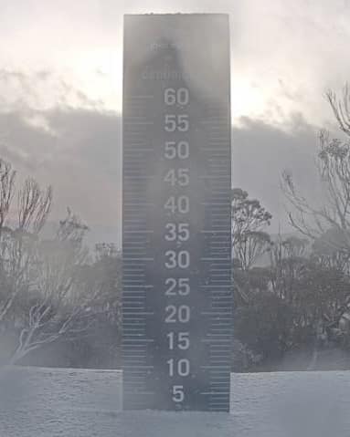 Perisher