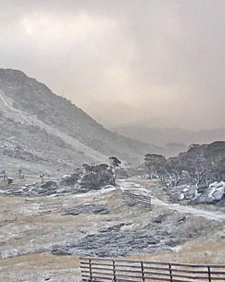 Perisher