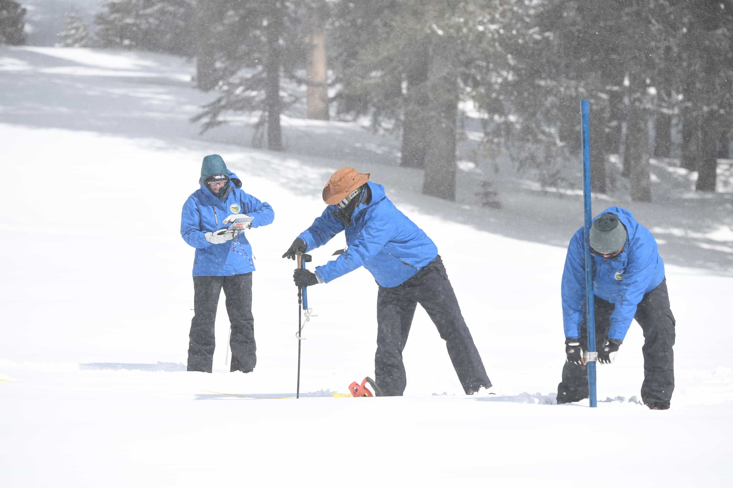 water survey, snowpack survey, california