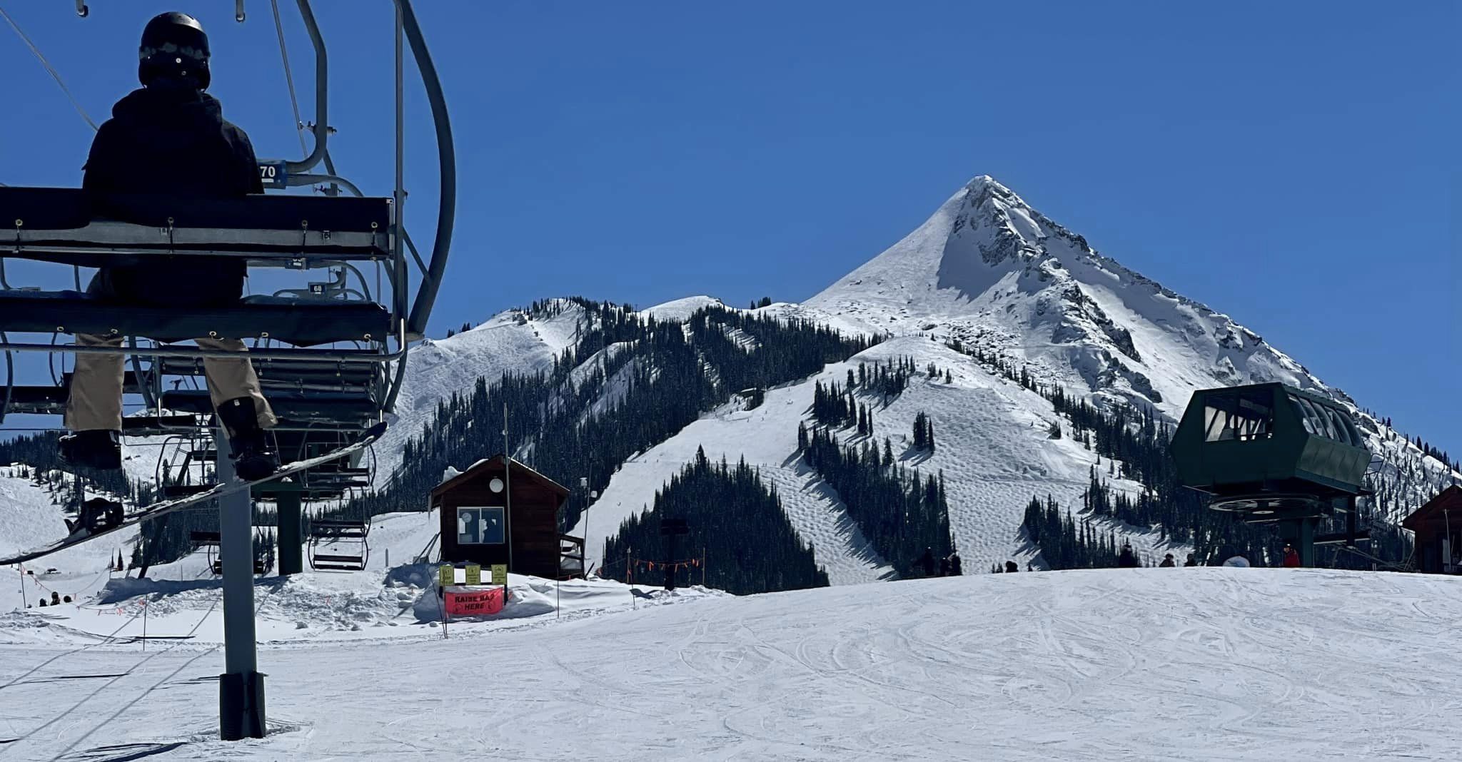 crested butte bluebird day