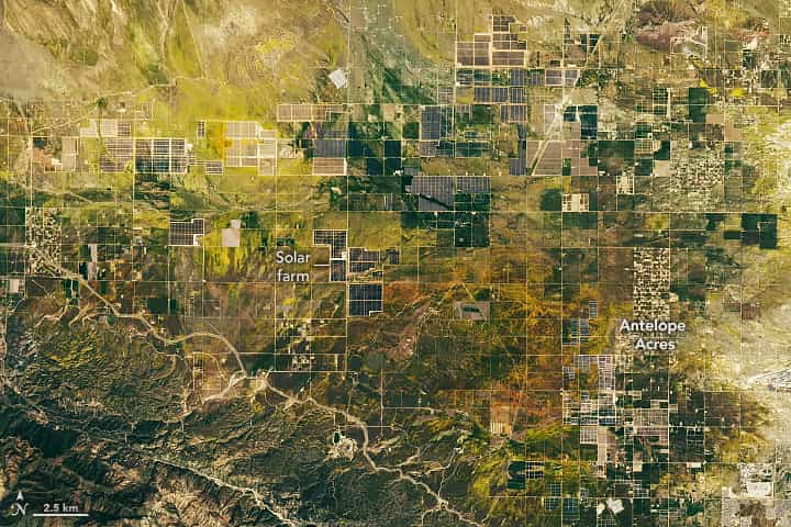 California superbloom