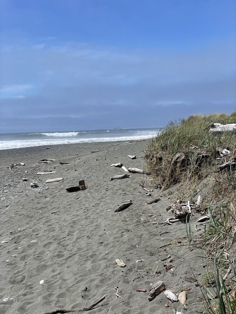 The beach to myself for a recovery nap. Photo Credit: Luke Guilford