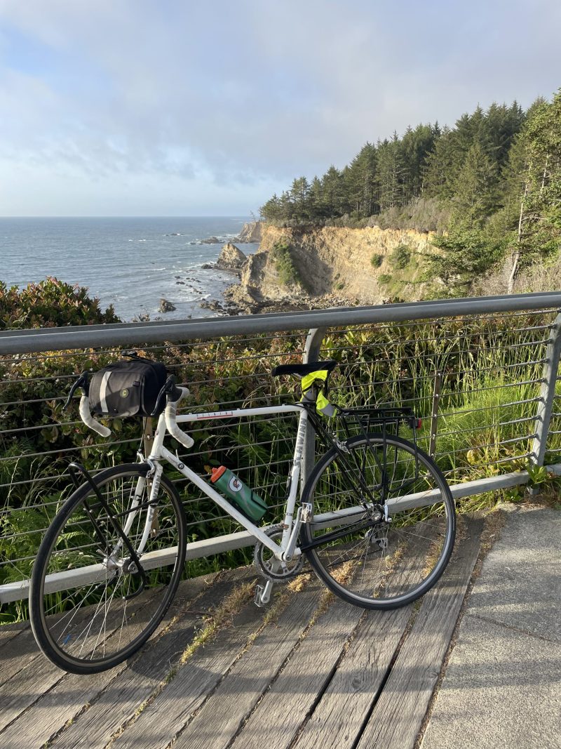 Listening to the sea lions barking. Photo Credit: Luke Guilford