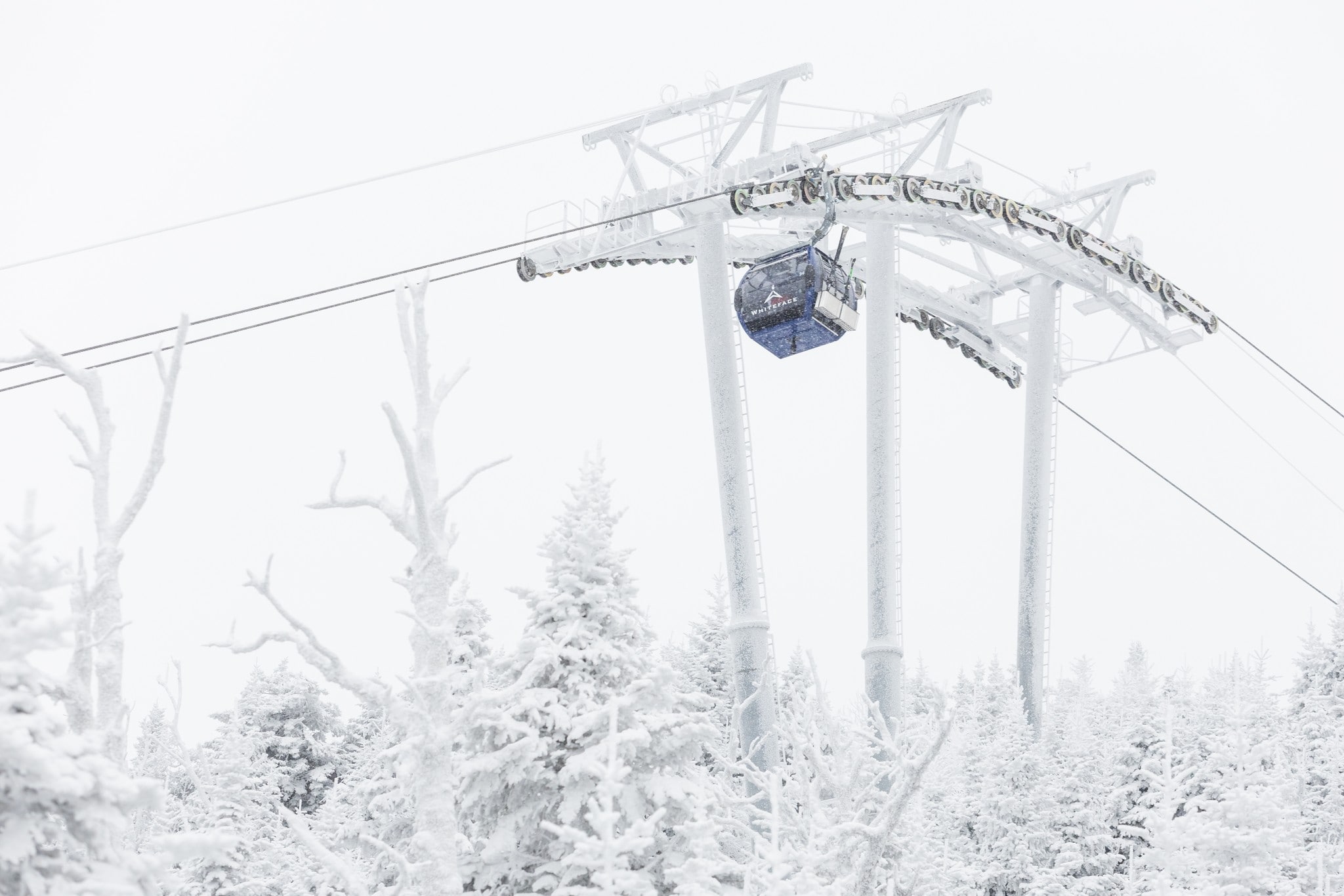 Frosty Trees Under the Gondola at Whiteface