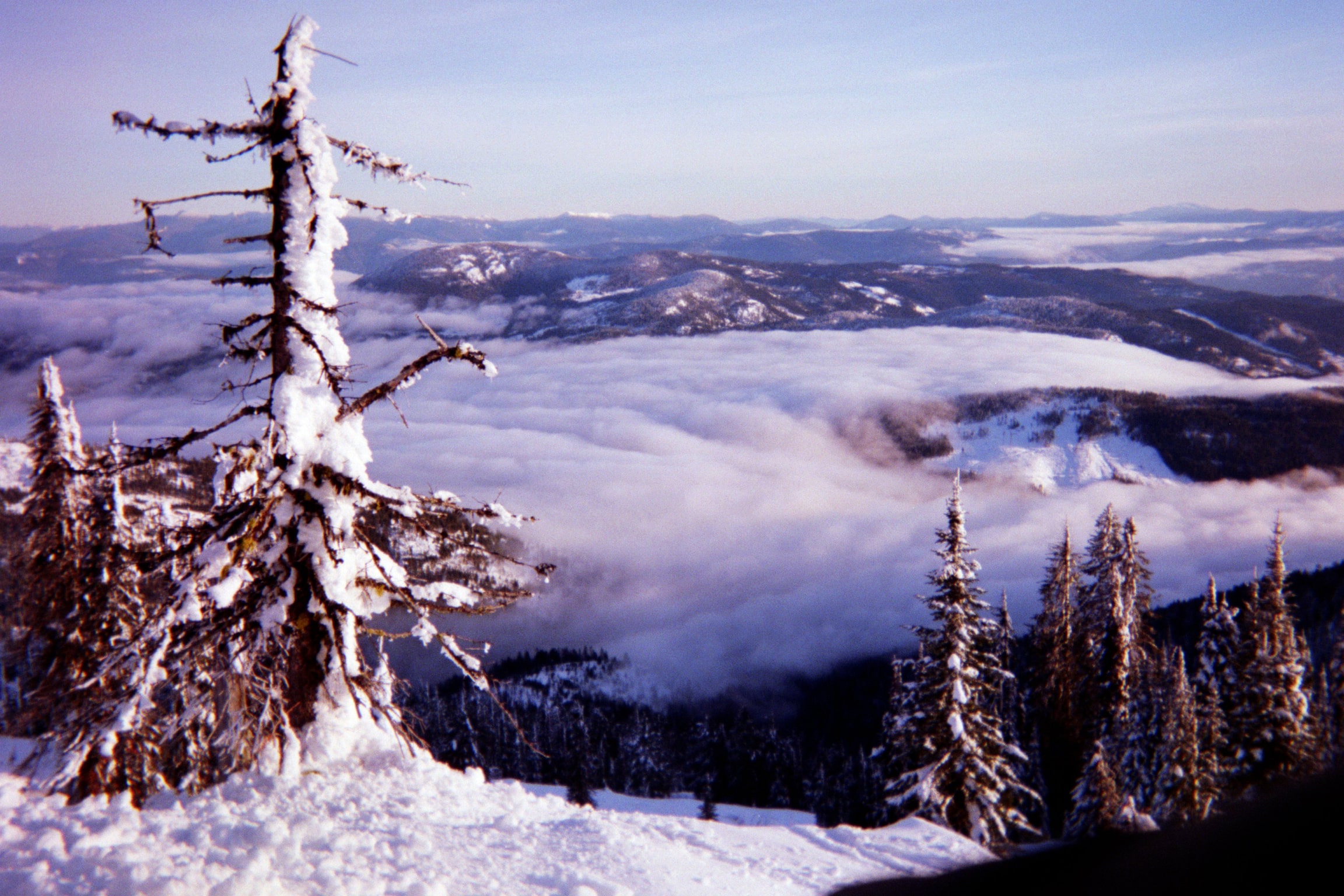 Kootenay Sea