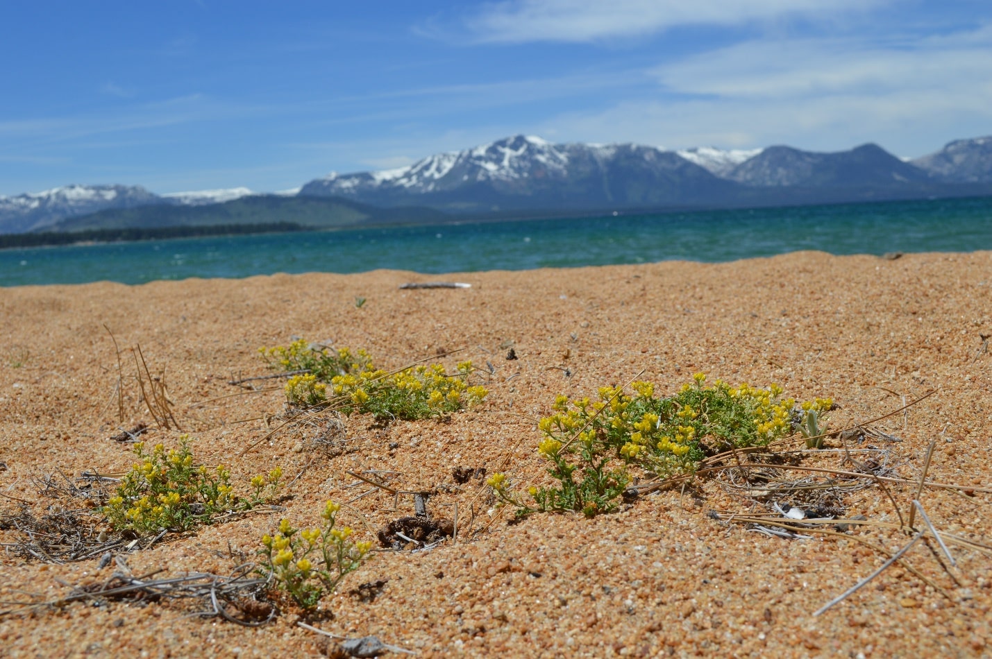 Lake Tahoe