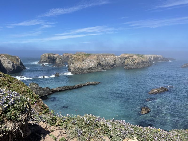 Mendocino Headlands. Photo Credit: Luke Guilford