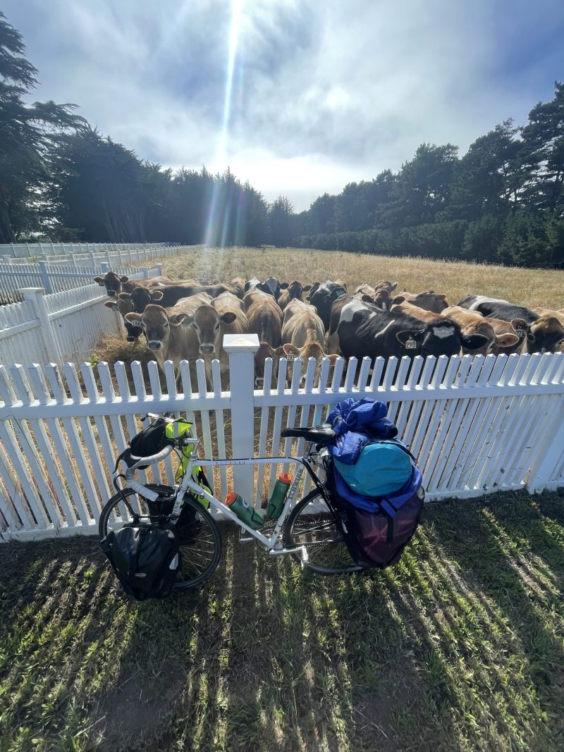 You never know the friends you'll make along the way. Photo Credit: Luke Guilford