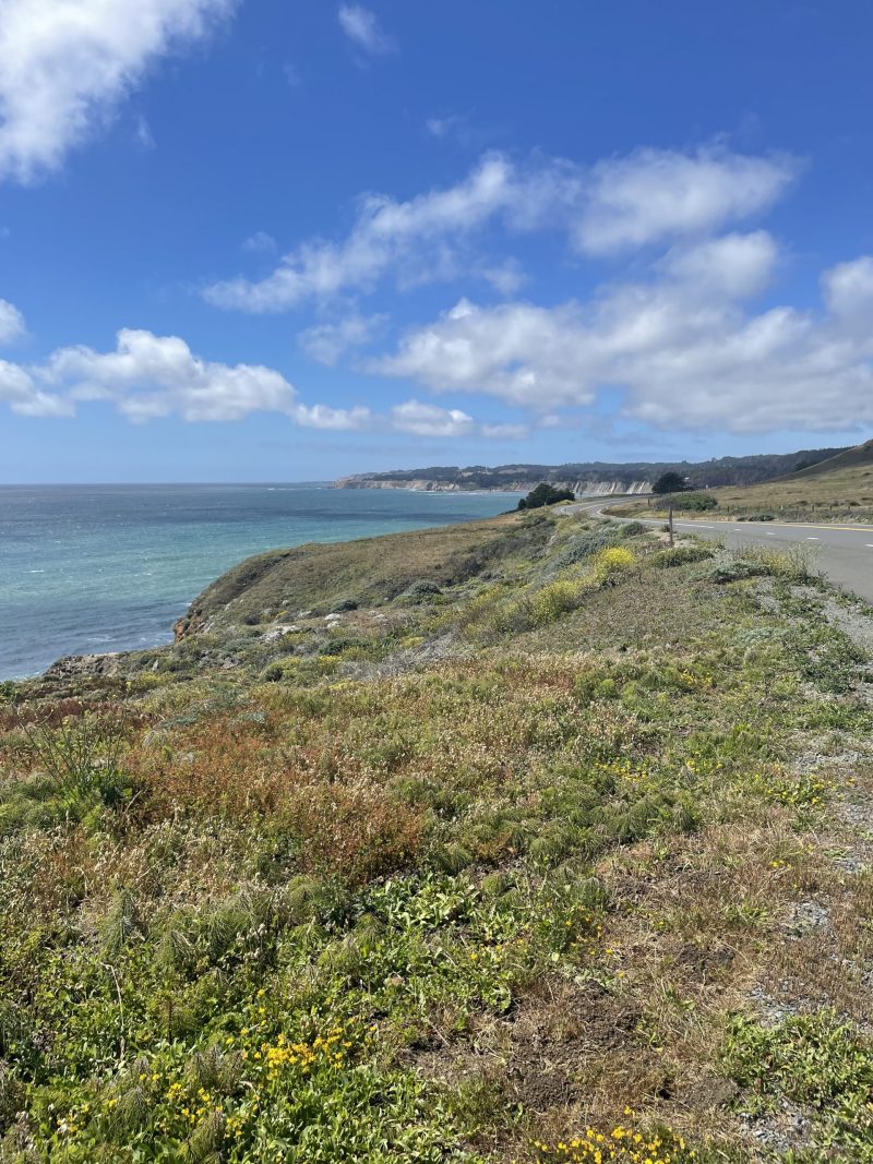 One more pic of this incredible coastline. Photo Credit: Luke Guilford