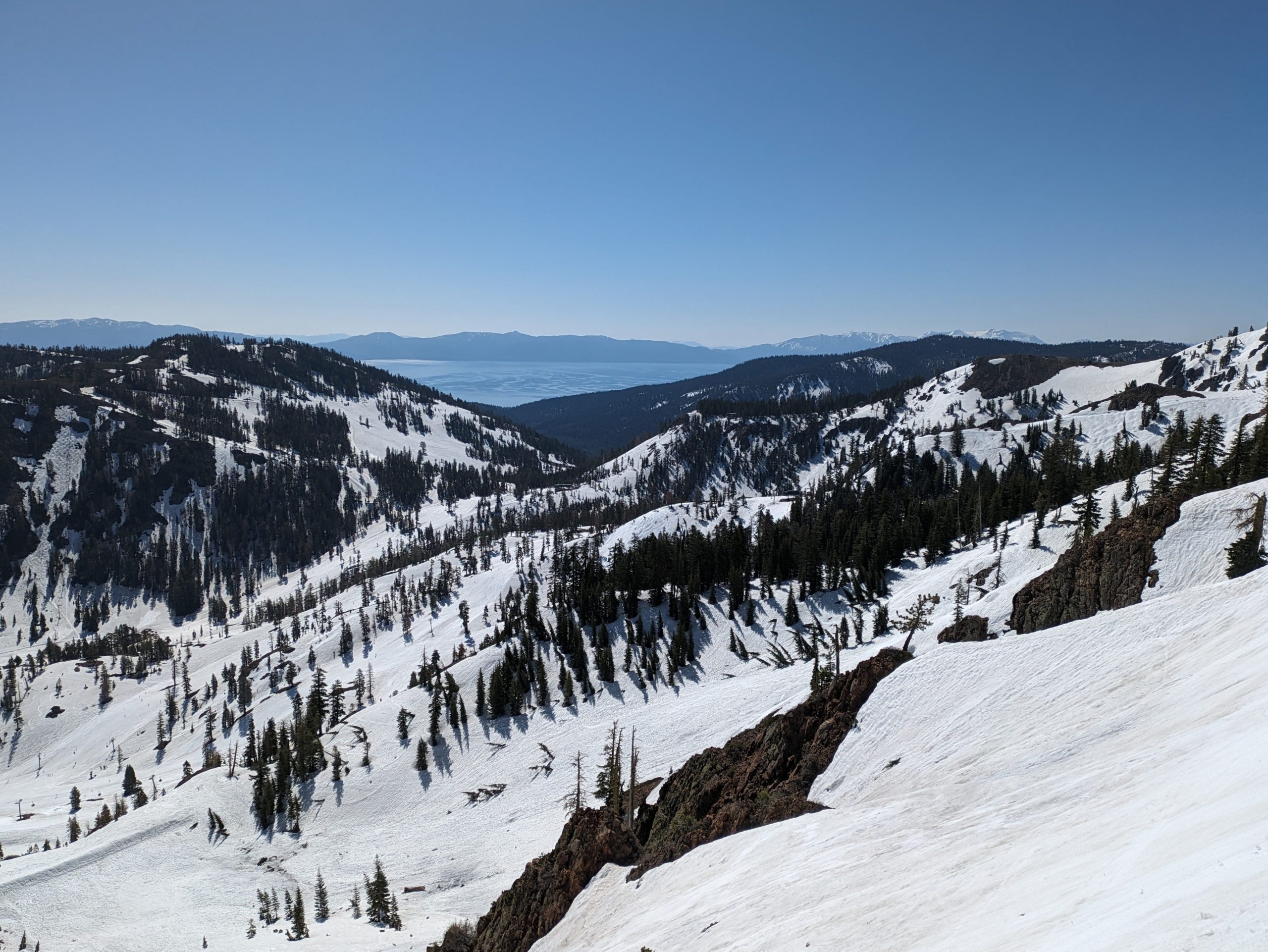 beaver bowl 