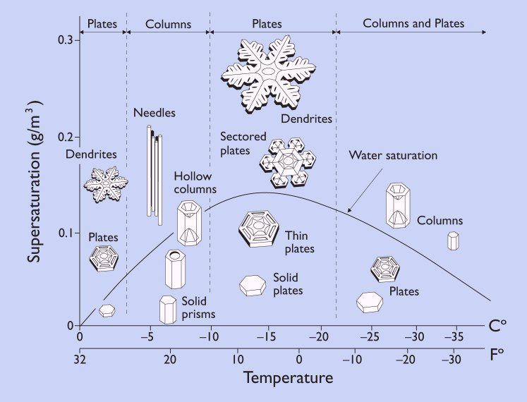 Snow shape dendrite flakes cold powder