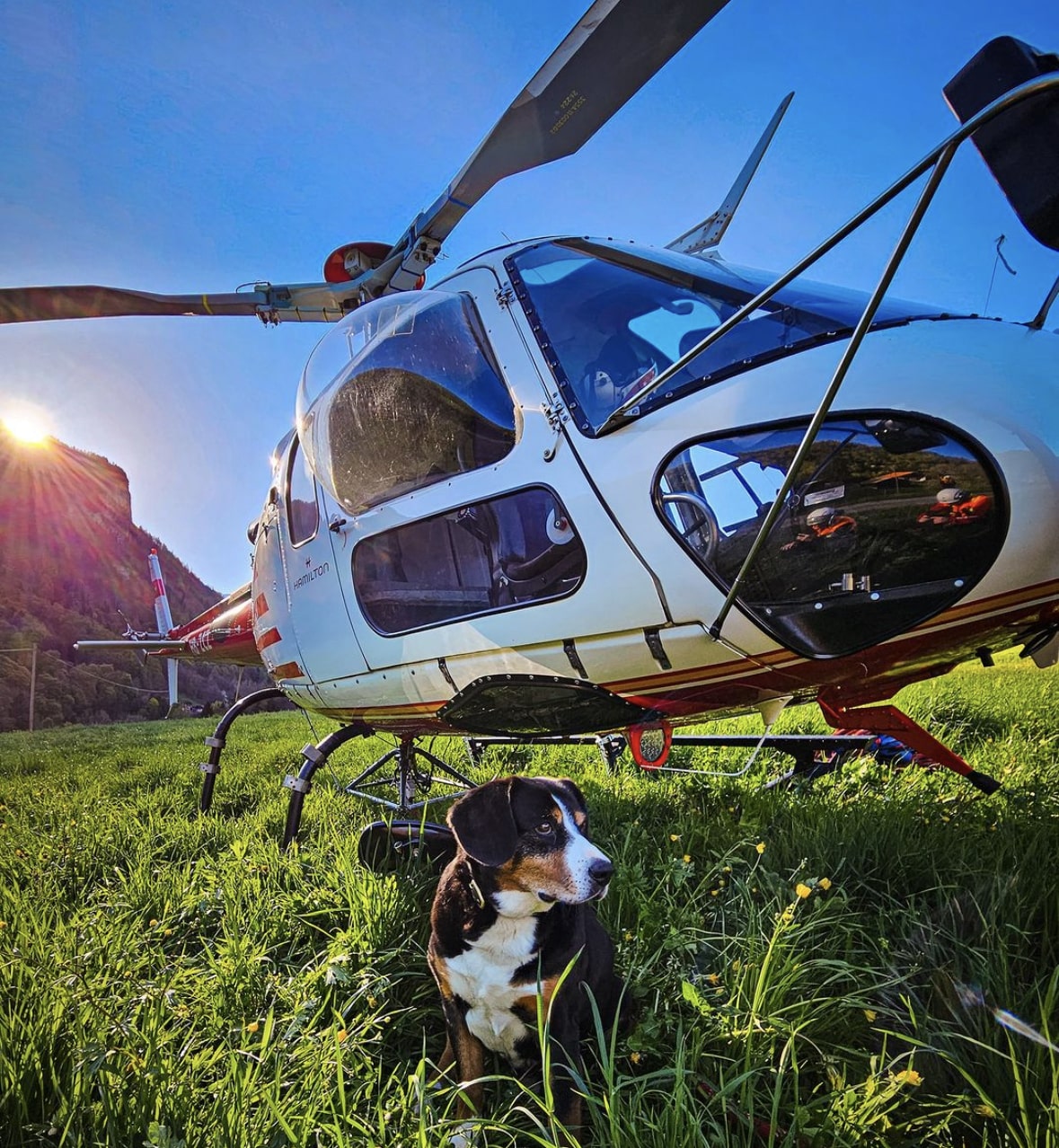 Helicopter
