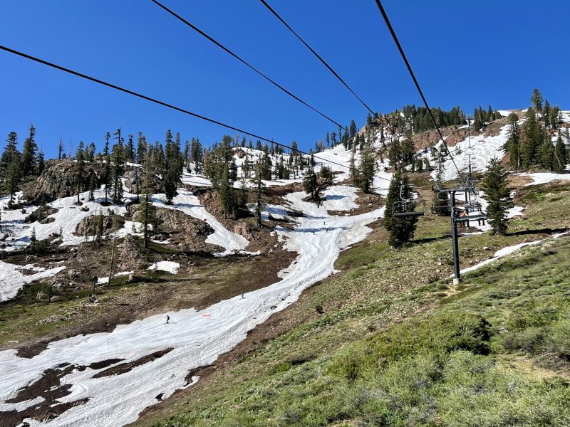 Alpine meadows 