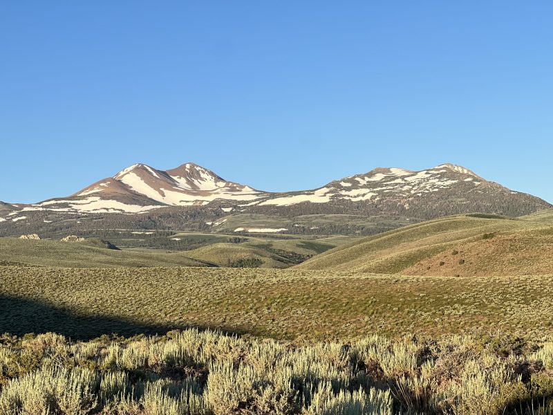 Snowy mountains and green vegetation 