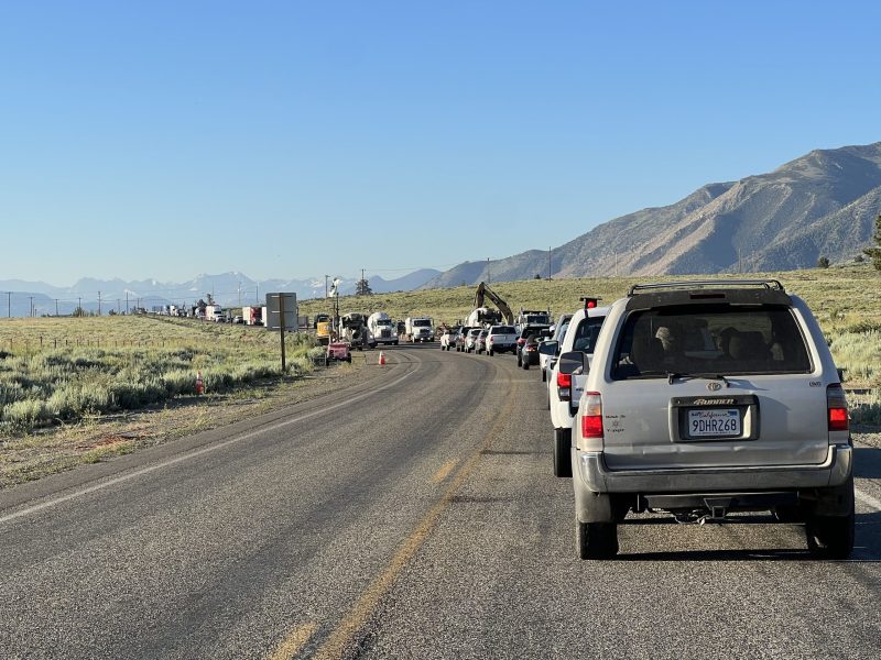 Mountain Traffic 