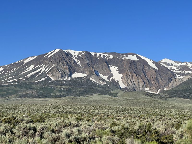 Snowy mountains and vegetation 