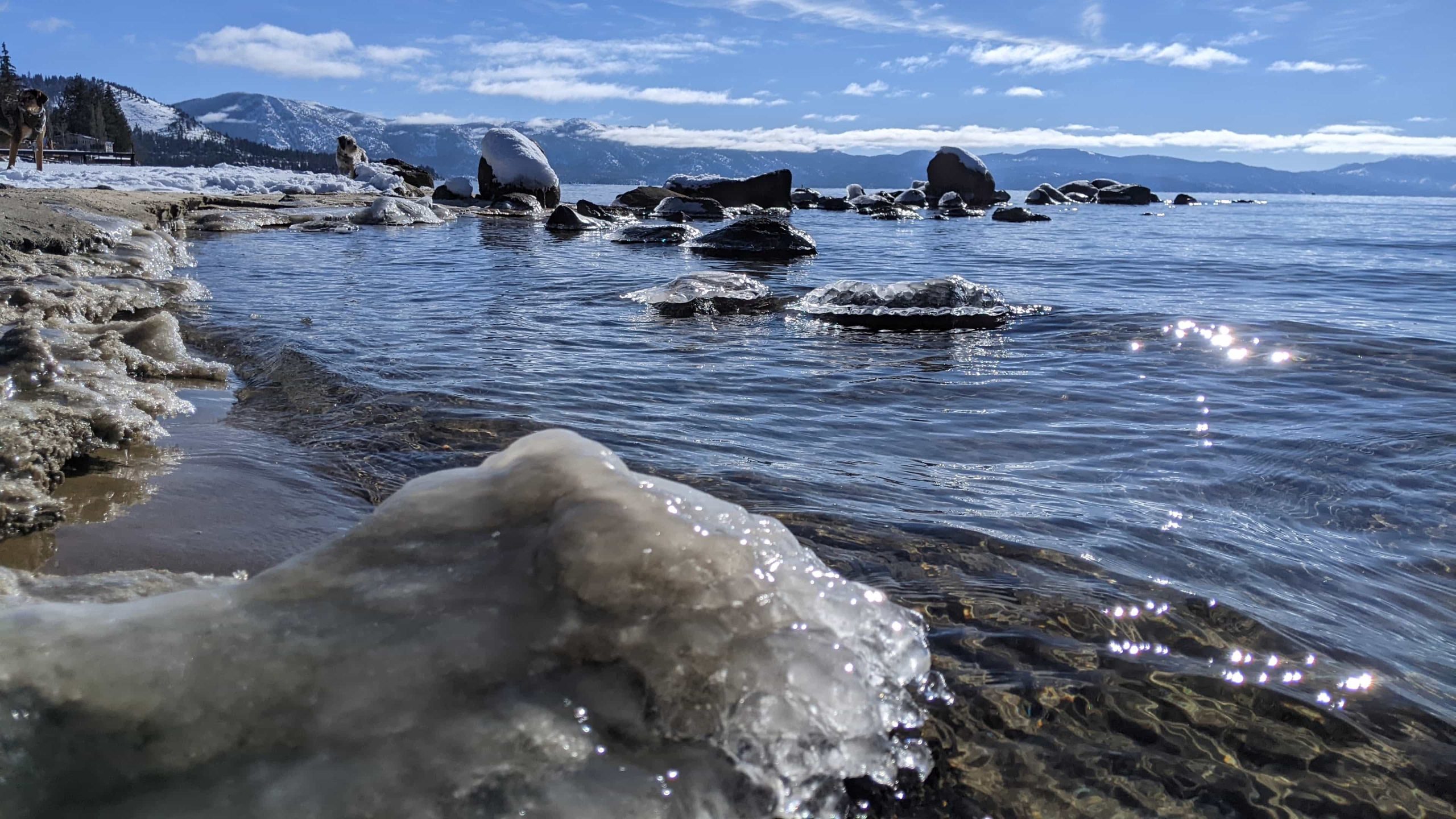Tahoe Clarity report