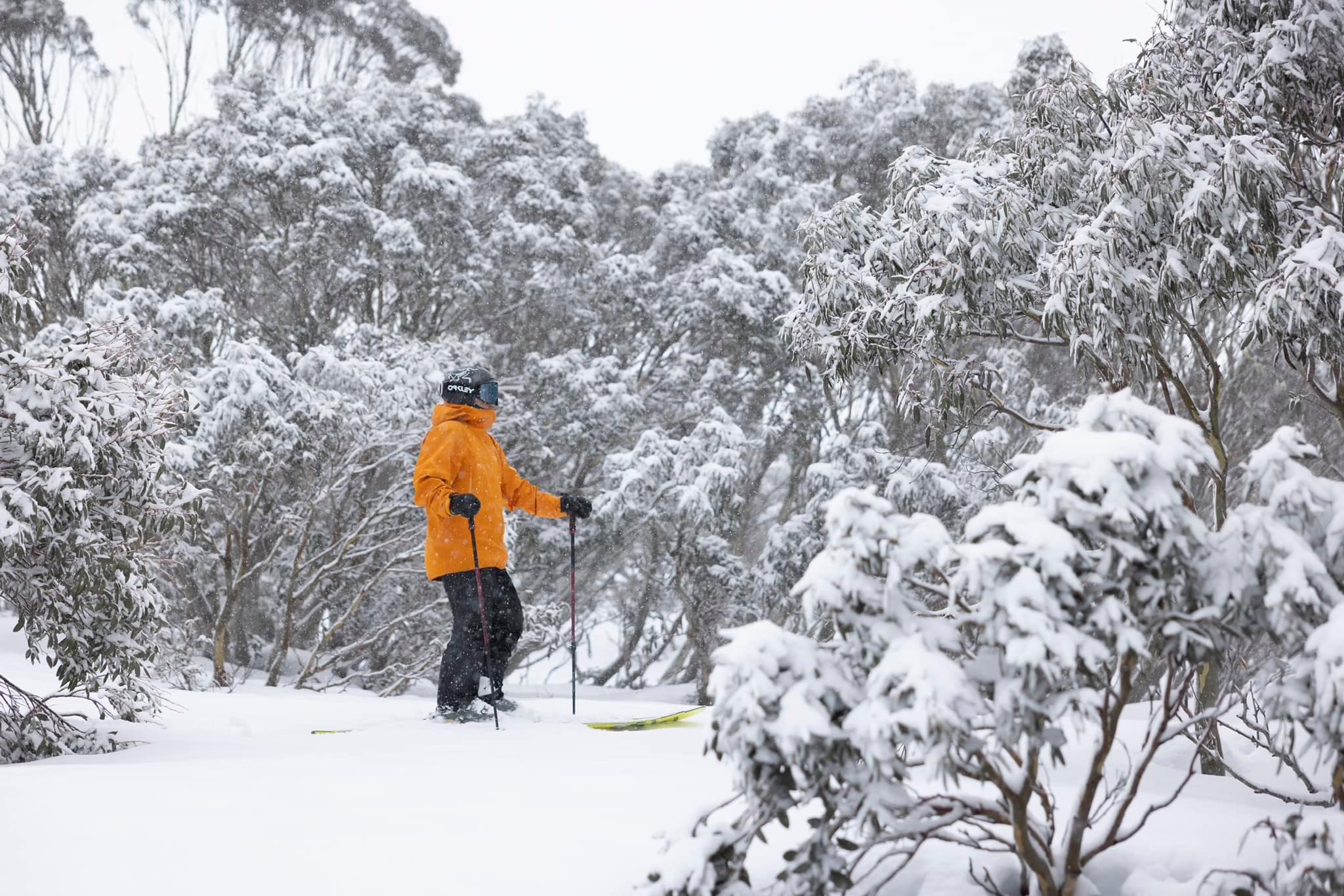 Hotham