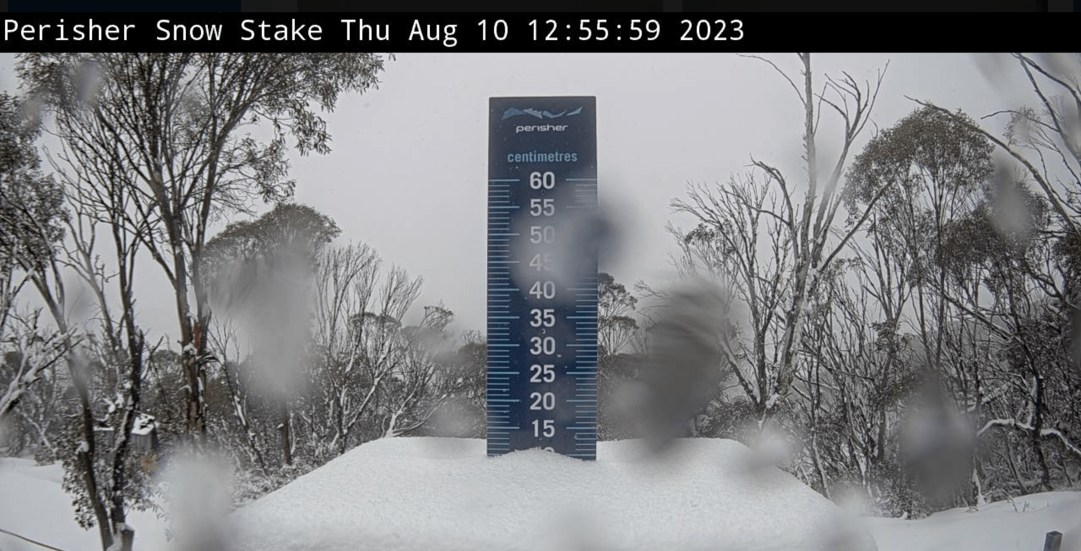Perisher
