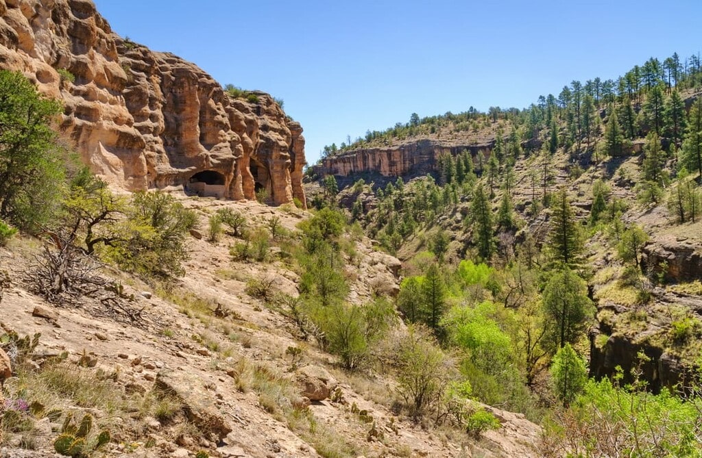 Gila National Forest