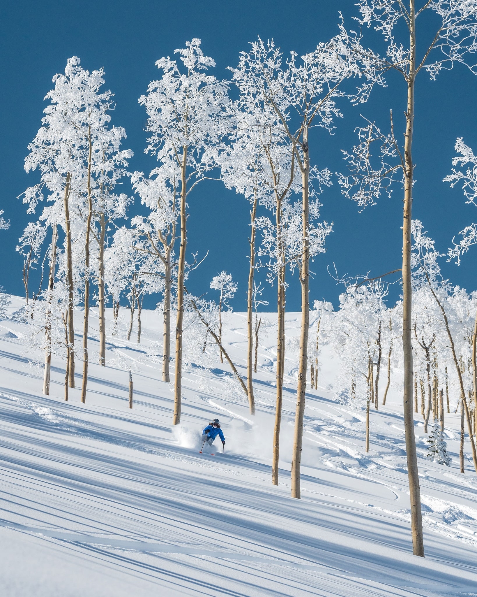 Powder Mountain, Utah