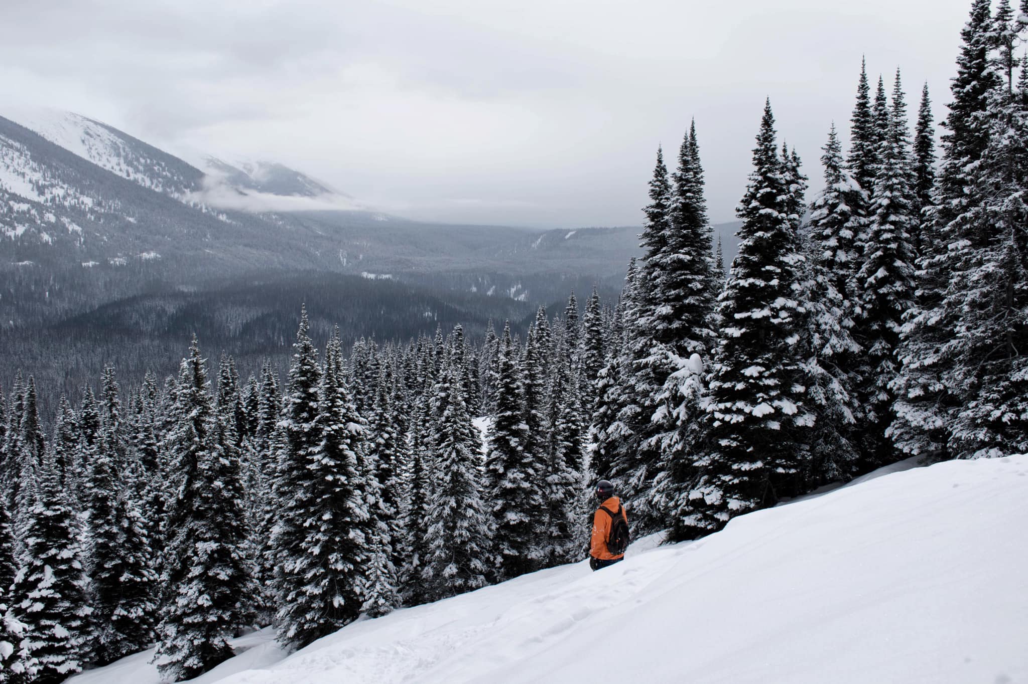 skiing at Powder King Mountain Resort