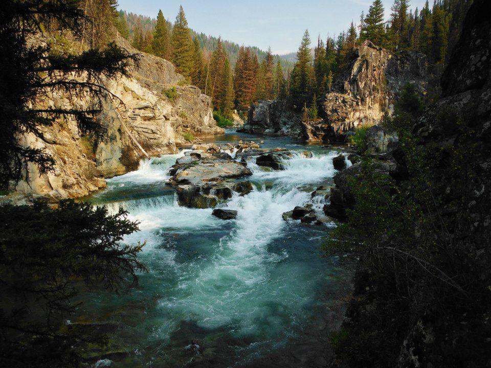 Salmon-Challis National Forest