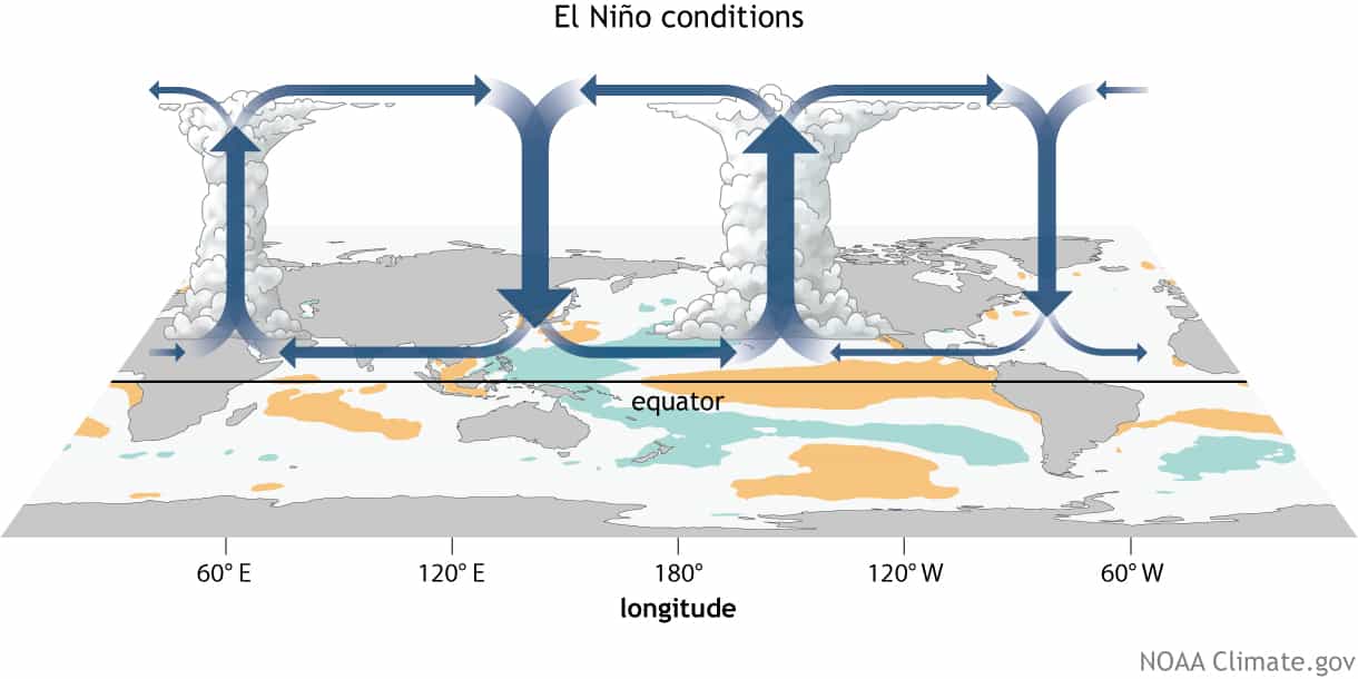el niño