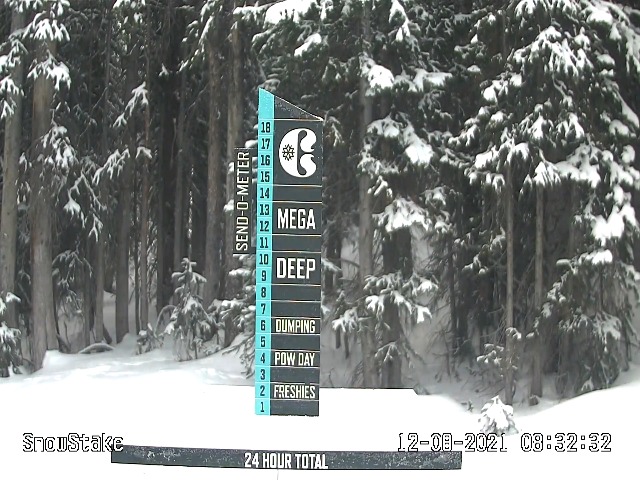 Copper Mountain Snow Stake