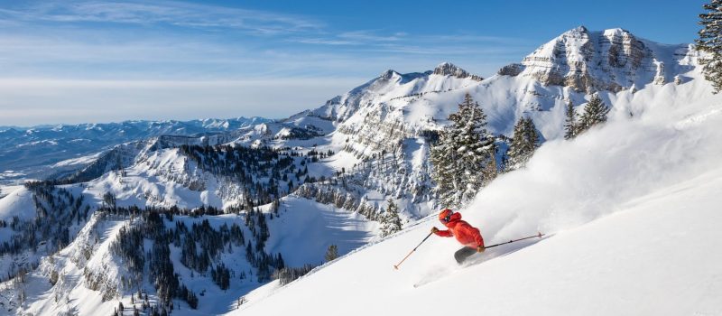 jackson hole powder