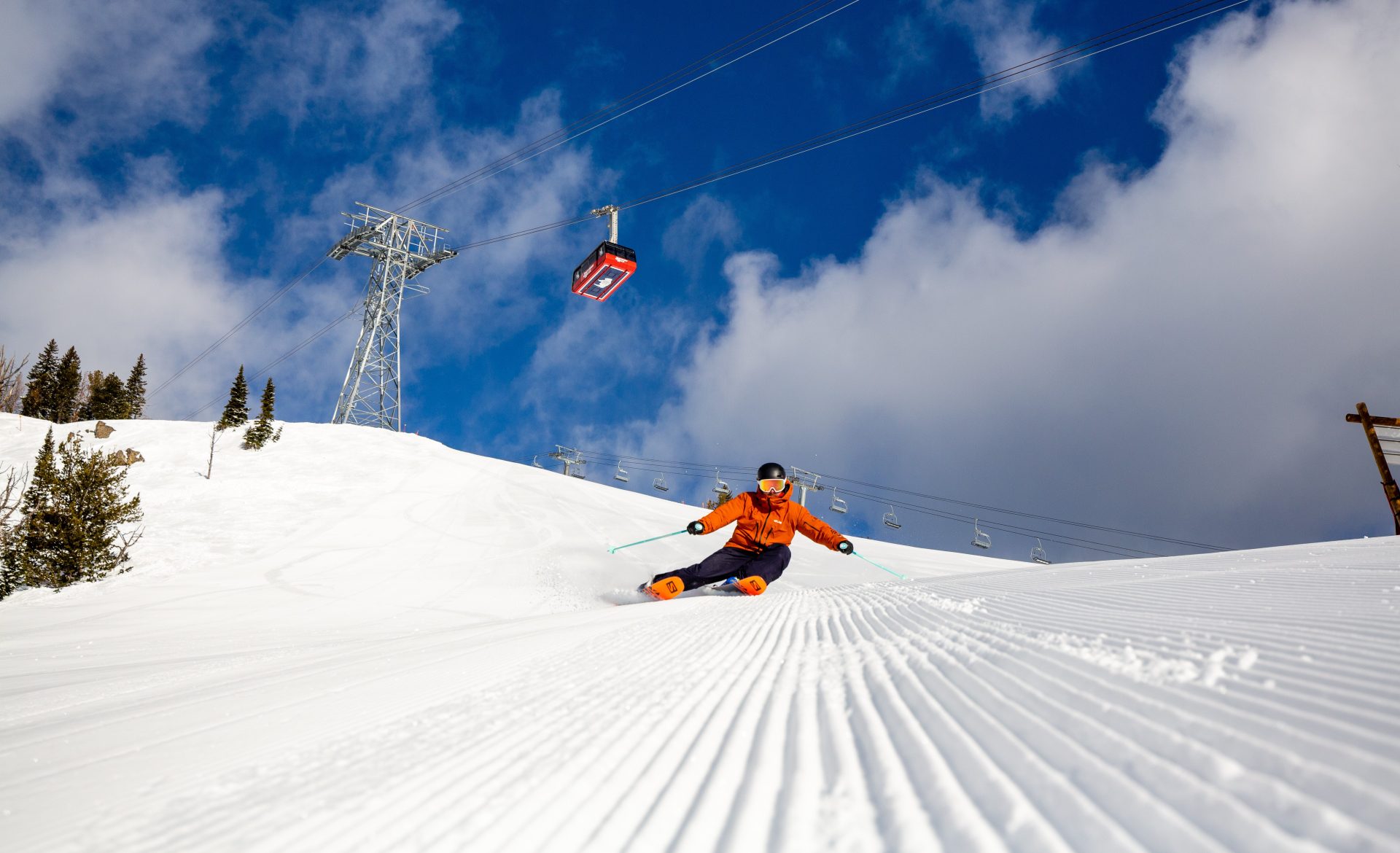 jackson hole carving