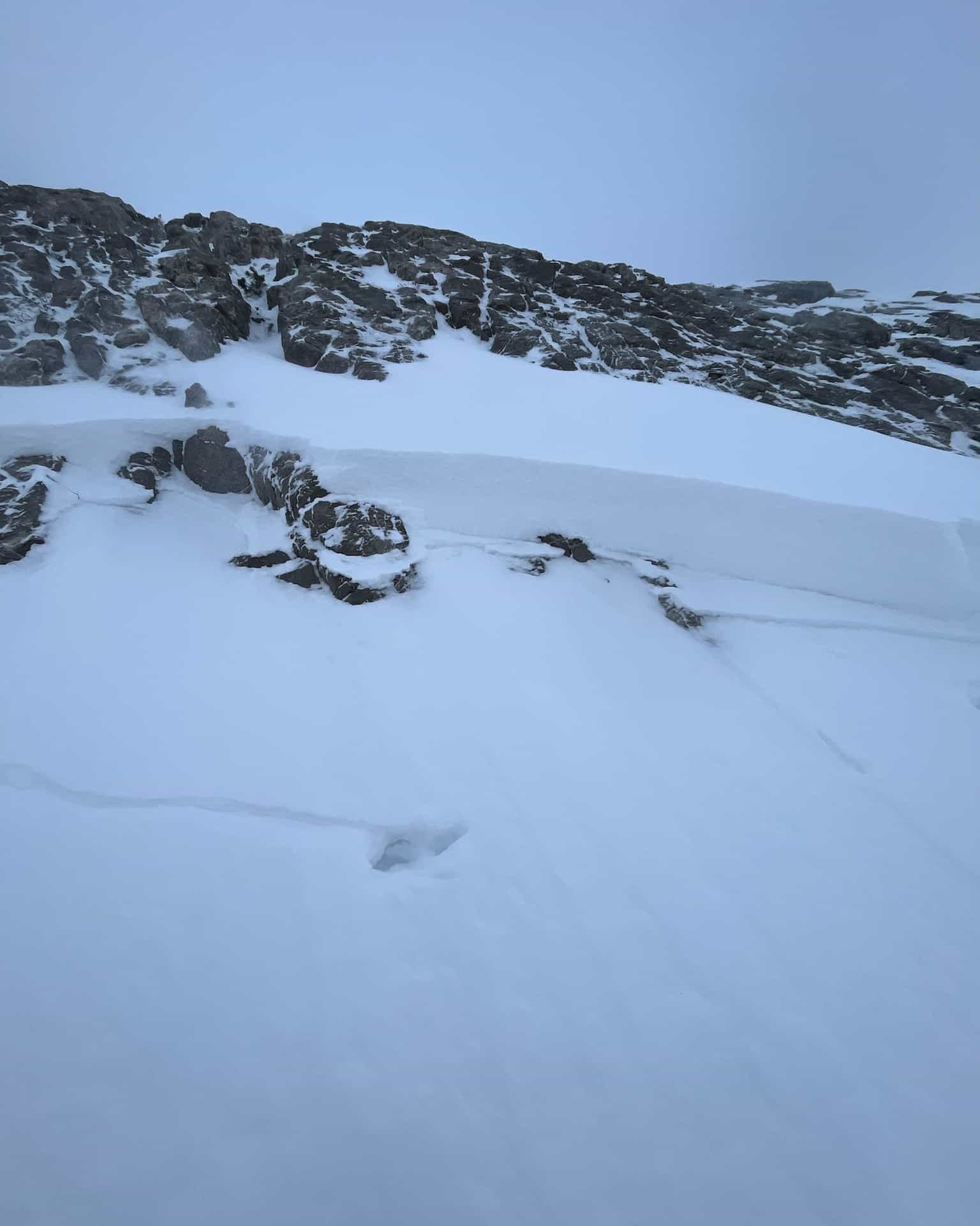 avalanche crown