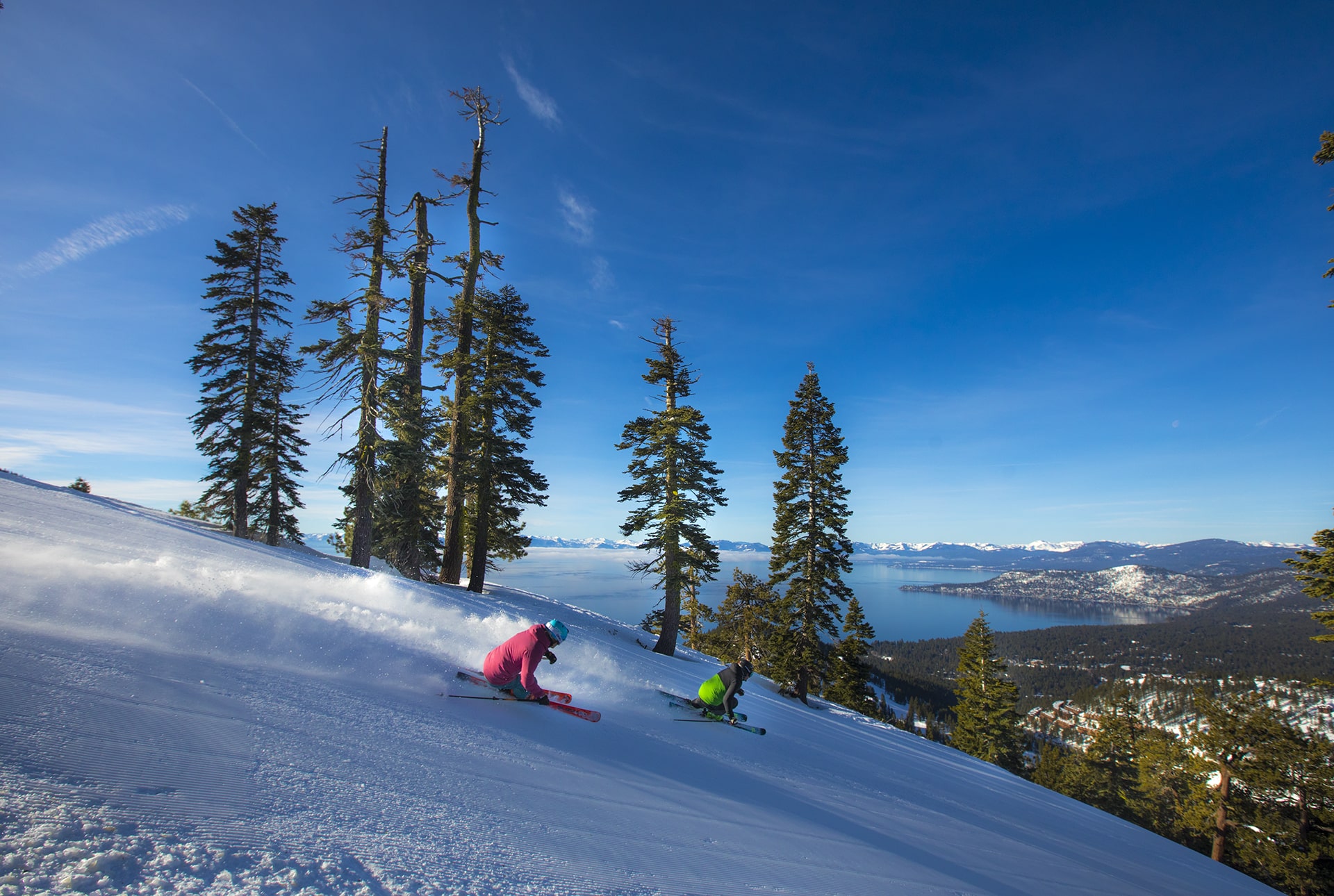 Ripping Groomers