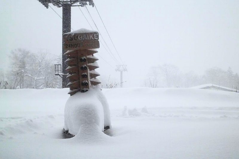 Tsugaike 24 hour snowfall November 30 2024