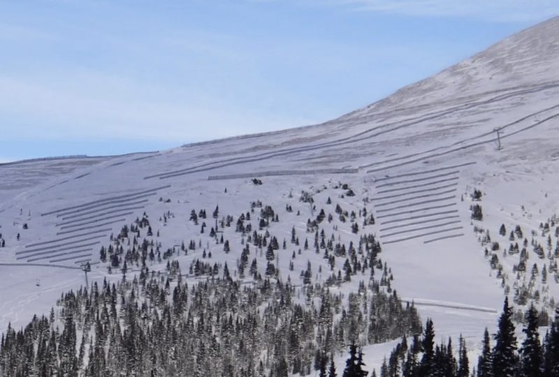 Snow farming