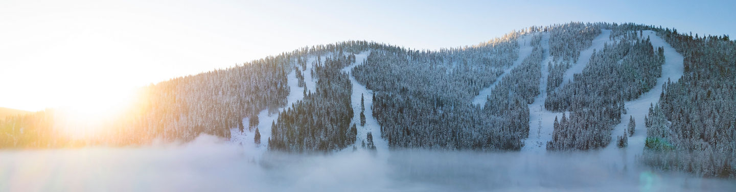 Northstar trees and lifts with the sun shining.