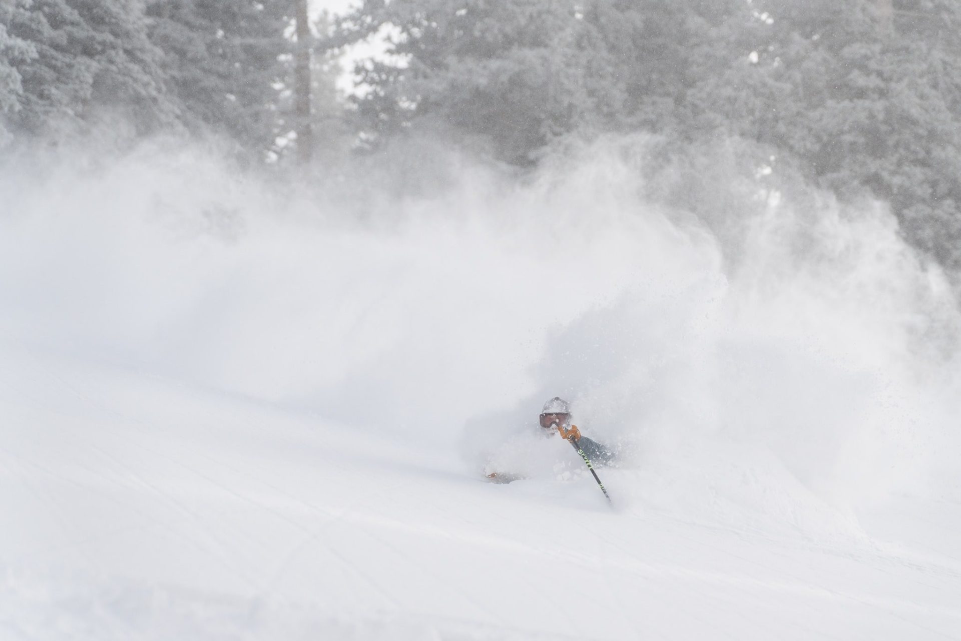 pow day at snowbird