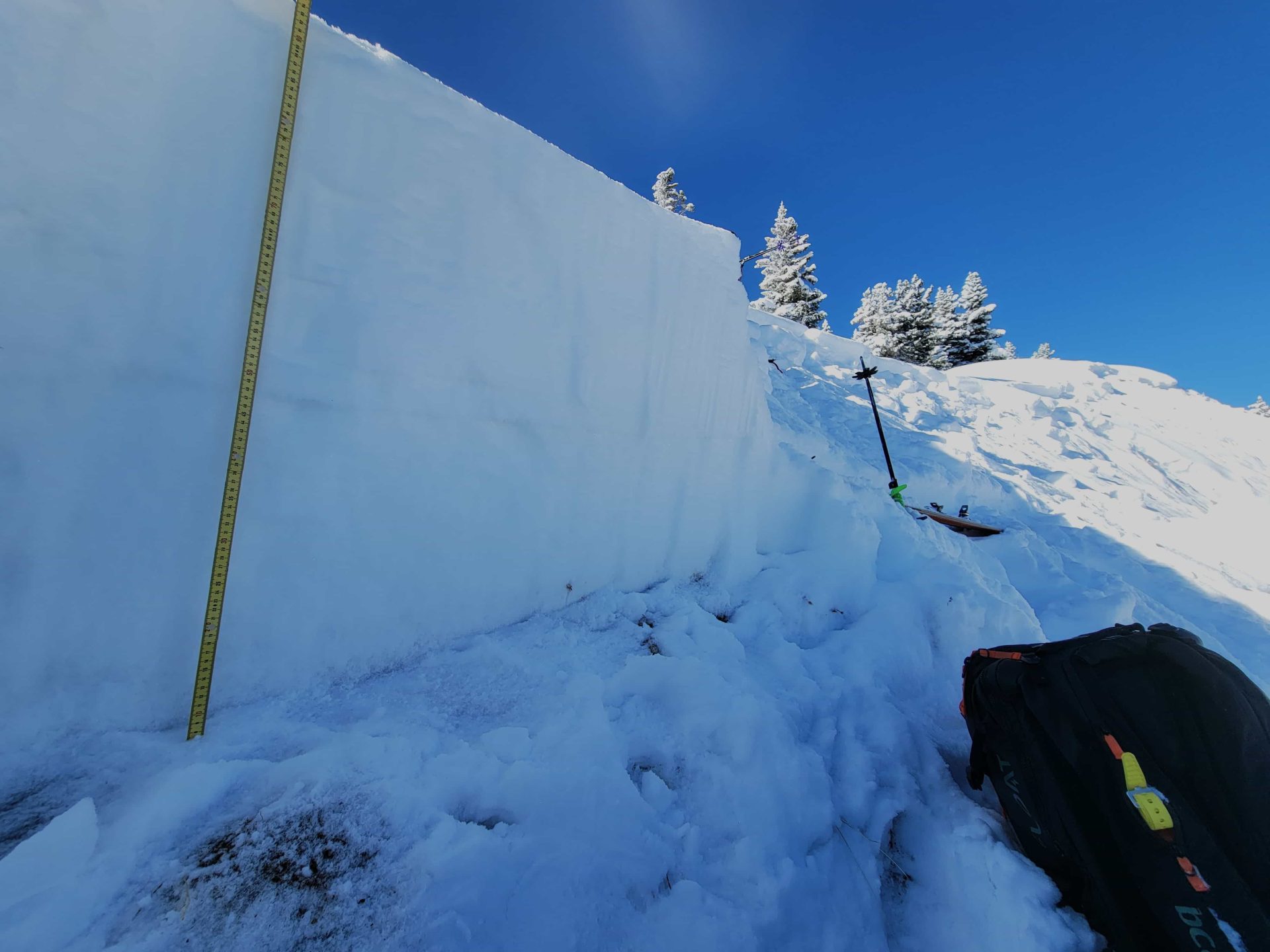 avalanche crown