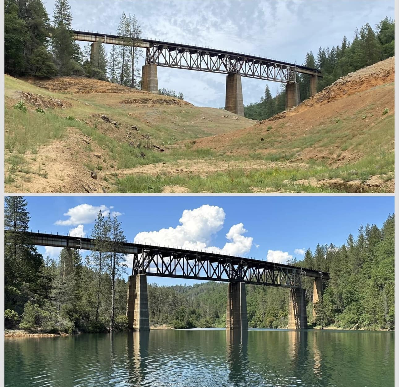 A welcome sight this year at Shasta Lake
