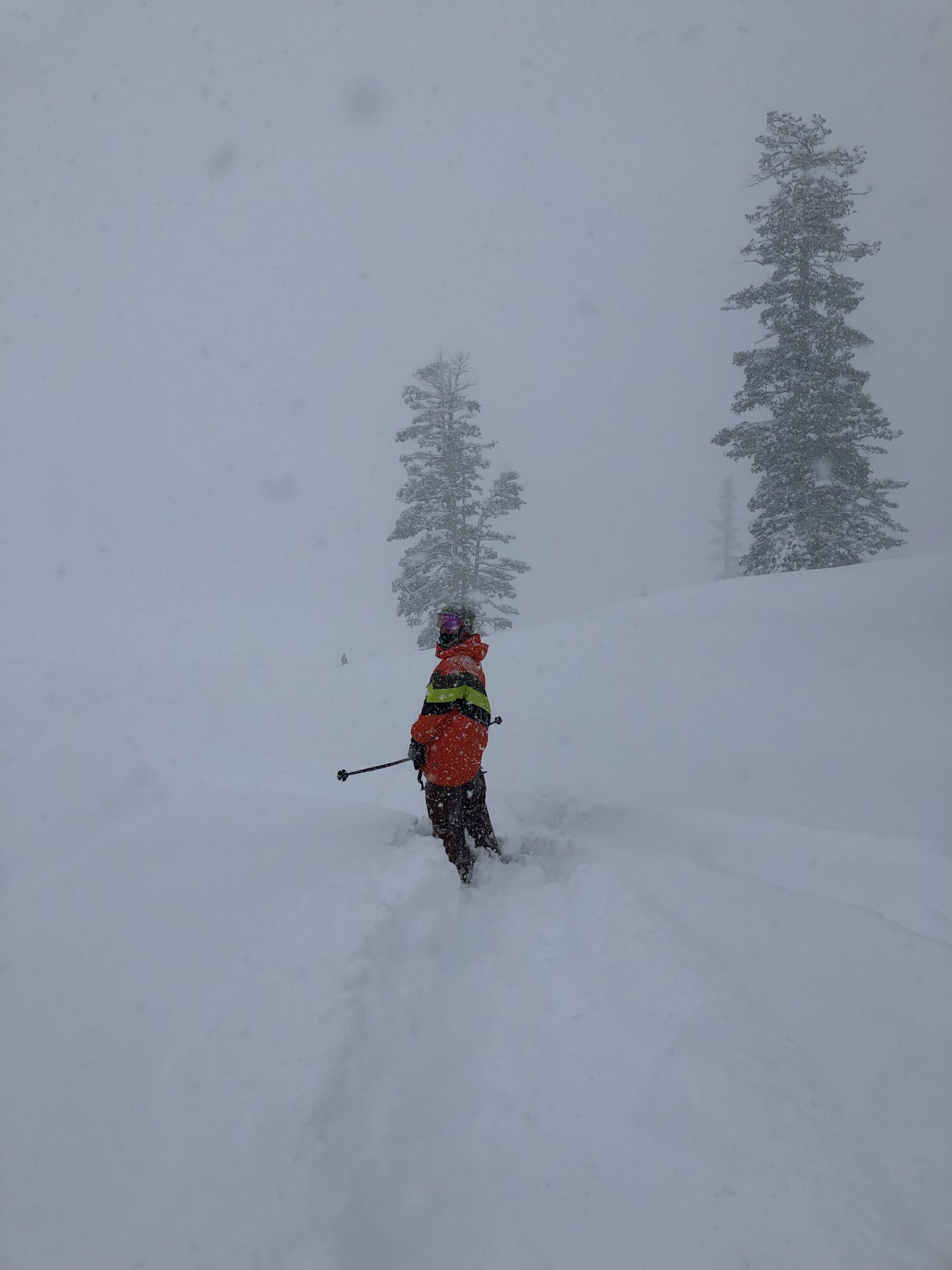 Powder Day in February