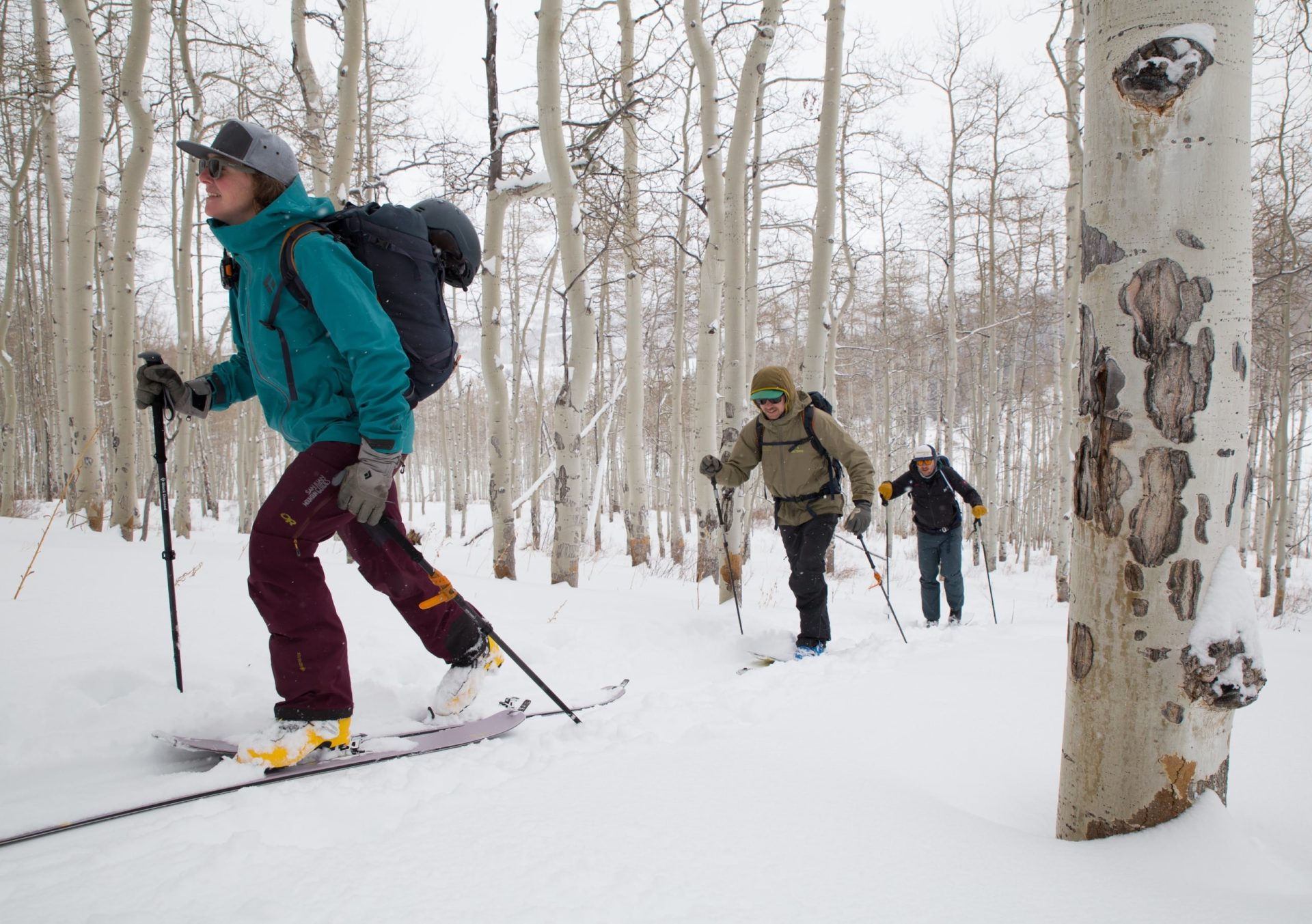 Backcountry skiing guided