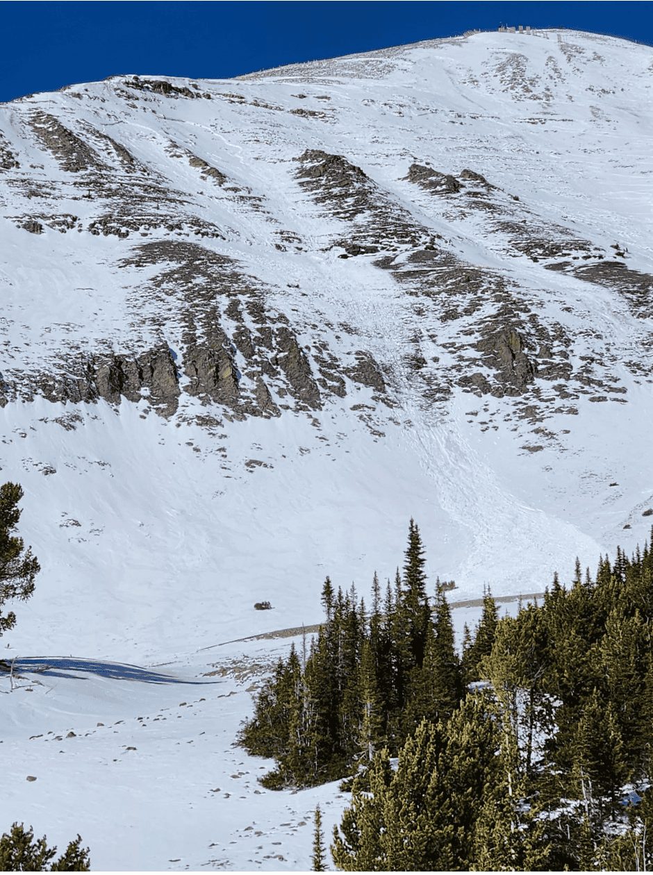 avalanche goat