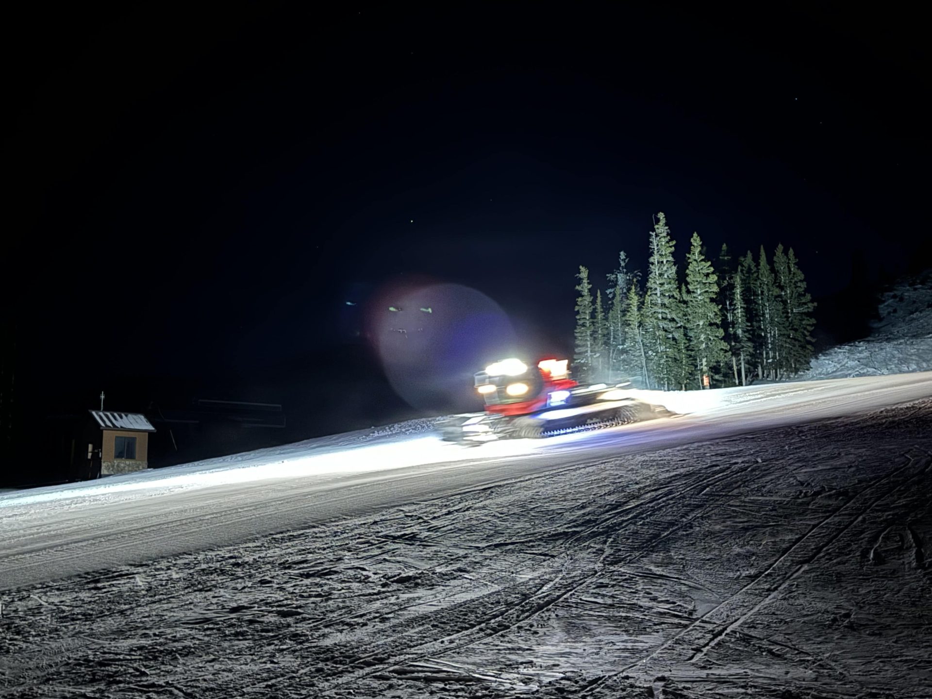 breck cat night