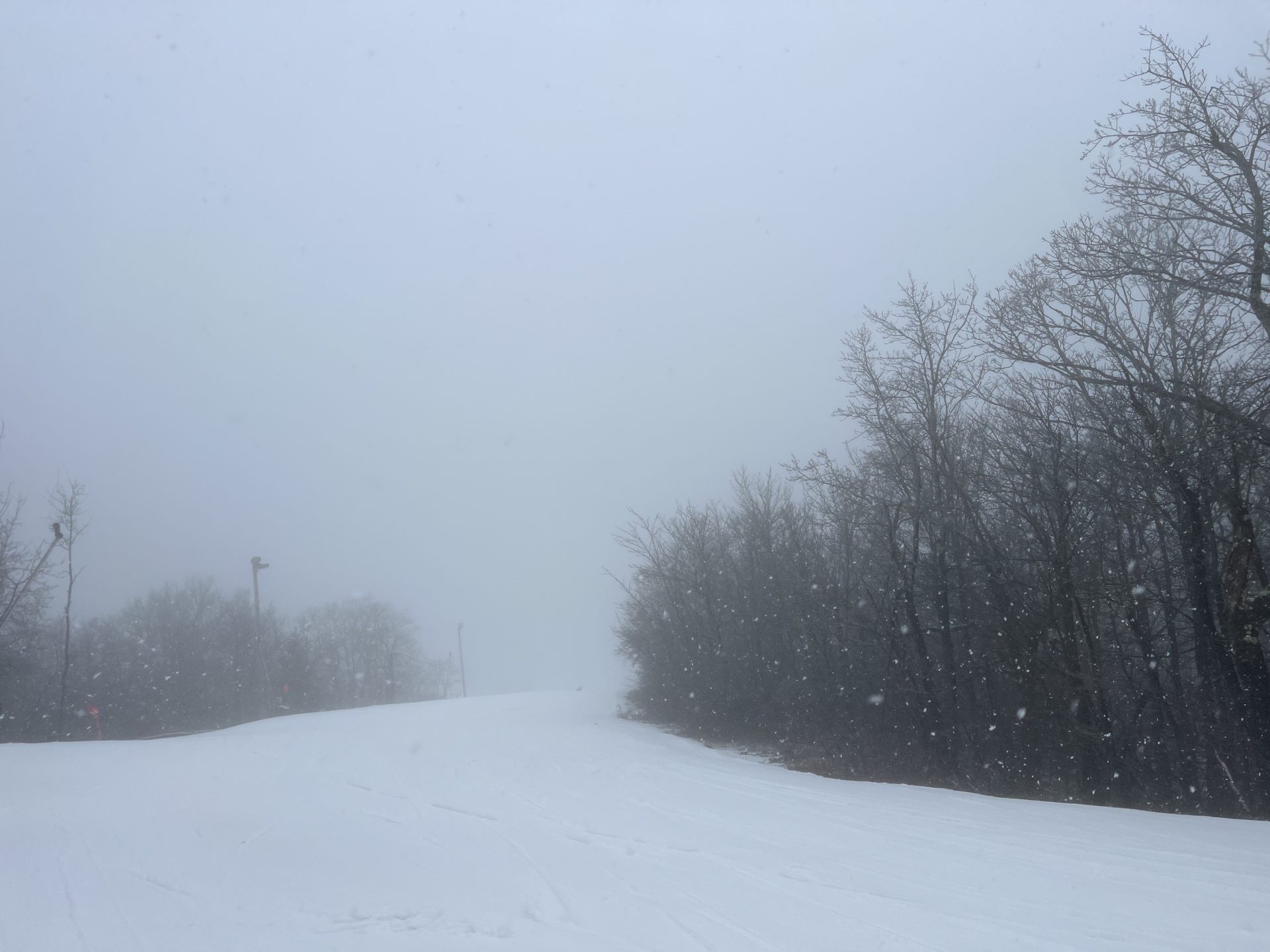 Snowfall at Catamount