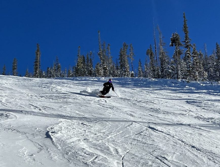 Wide Open Groomer