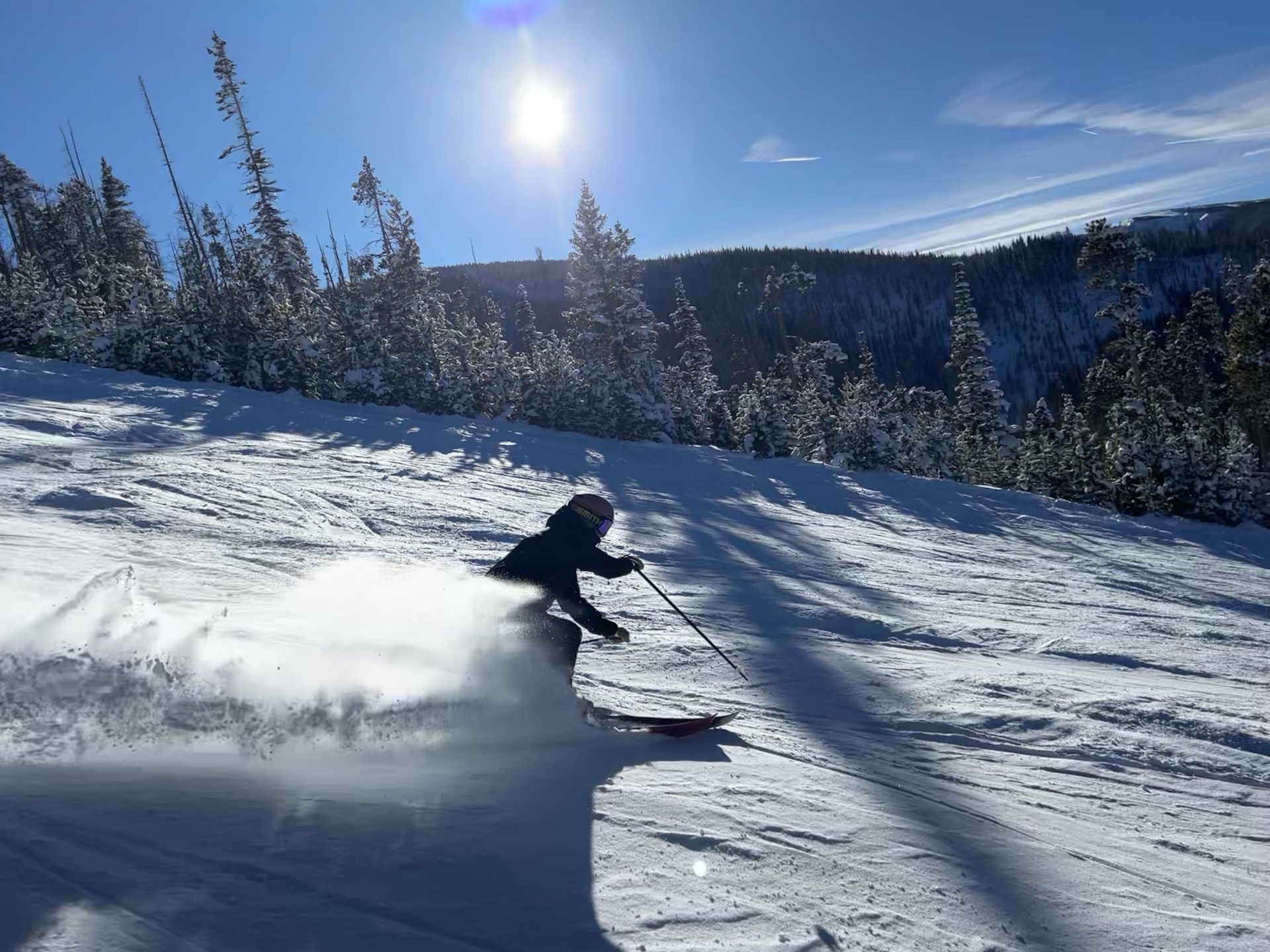 Bluebird Day