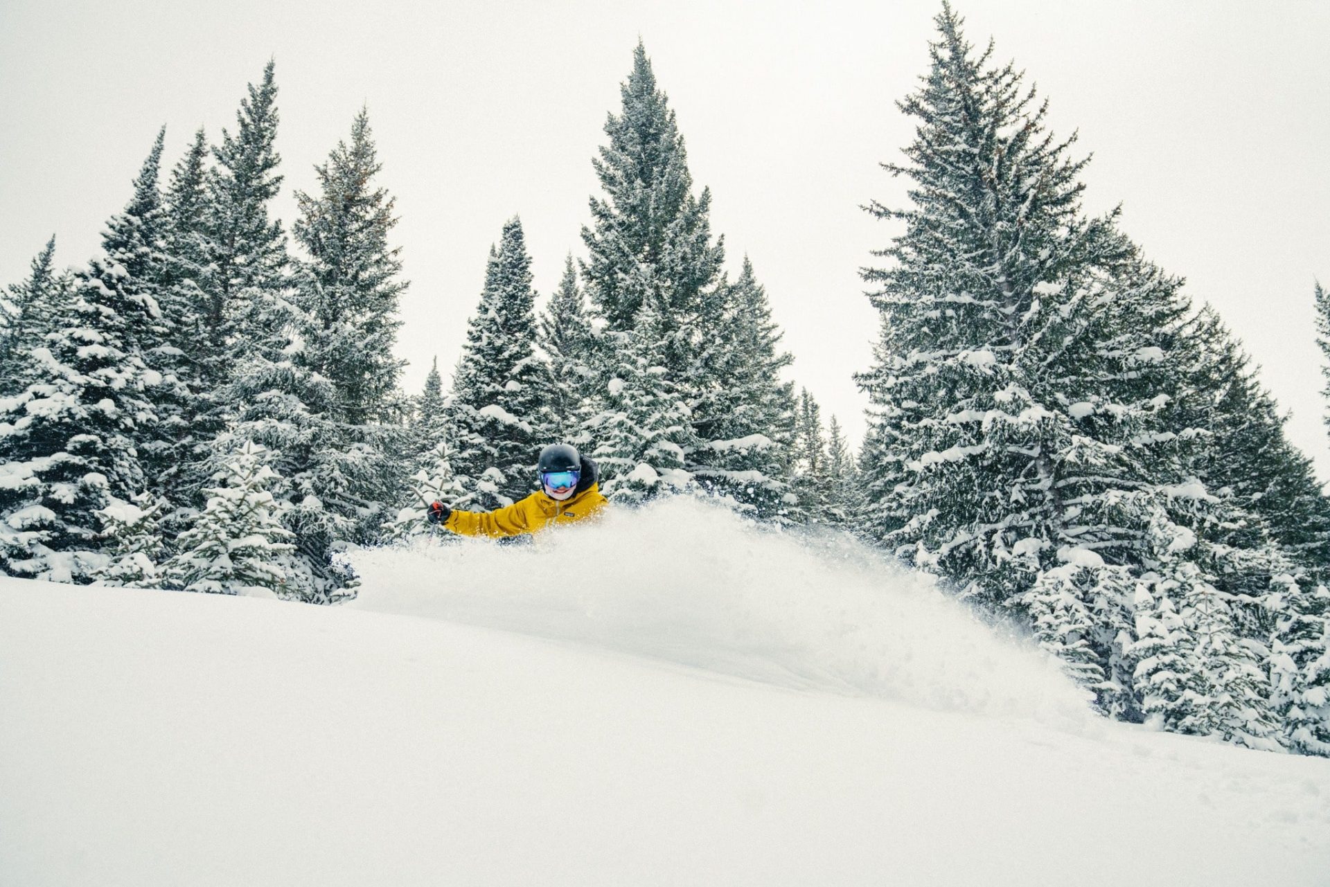 Skier shredding powder off Grouse Mountain