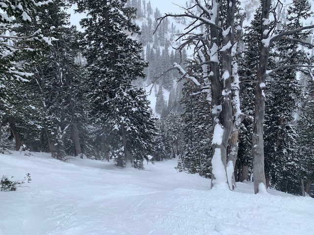 solitude mountain trail