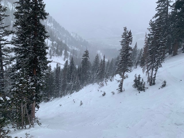 solitude headwall forest